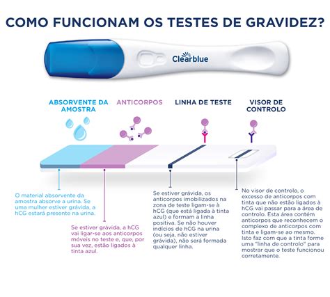 teste beta hcg positivo